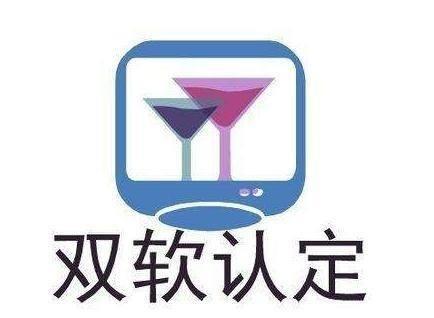 雙軟認(rèn)定與軟件企業(yè)條件解析 計算機(jī)系統(tǒng)集成服務(wù)的視角